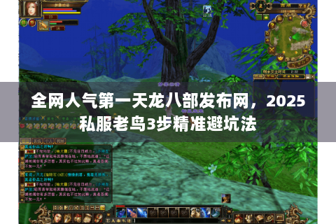 全网人气第一天龙八部发布网,2025私服老鸟3步精准避坑法 全网人气第一天龙八部发布网,2025私服老鸟3步精准避坑法