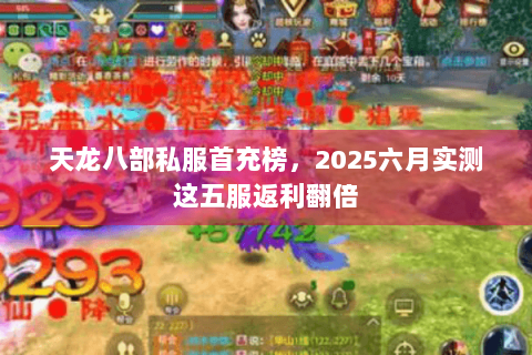 天龙八部私服首充榜,2025六月实测这五服返利翻倍 天龙八部私服首充榜,2025六月实测这五服返利翻倍