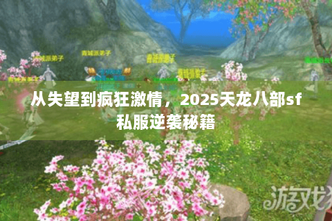 从失望到疯狂激情,2025天龙八部sf私服逆袭秘籍 从失望到疯狂激情,2025天龙八部sf私服逆袭秘籍