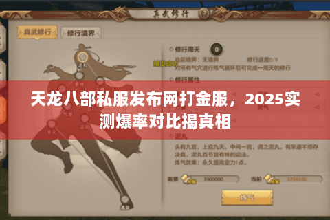 天龙八部私服发布网打金服，2025实测爆率对比揭真相