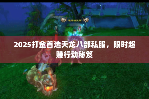 2025打金首选天龙八部私服,限时超赚行动秘笈 2025打金首选天龙八部私服,限时超赚行动秘笈