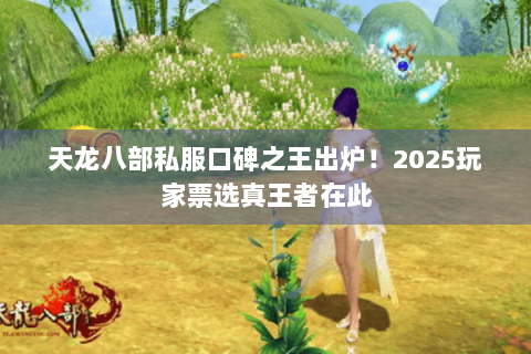 天龙八部私服口碑之王出炉！2025玩家票选真王者在此