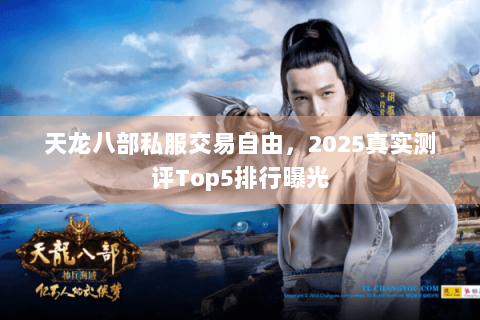 天龙八部私服交易自由，2025真实测评Top5排行曝光