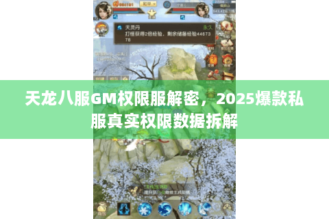 天龙八服GM权限服解密，2025爆款私服真实权限数据拆解