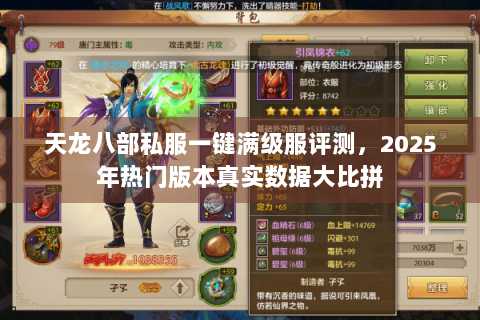 天龙八部私服一键满级服评测,2025年热门版本真实数据大比拼 天龙八部私服一键满级服评测,2025年热门版本真实数据大比拼