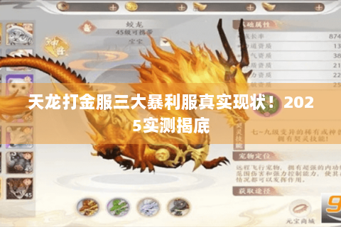 天龙打金服三大暴利服真实现状!2025实测揭底 天龙打金服三大暴利服真实现状!2025实测揭底