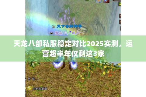 天龙八部私服稳定对比2025实测，运营超半年仅剩这3家