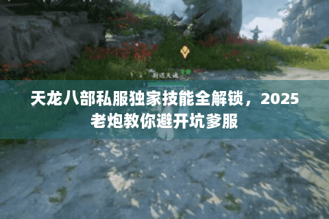 天龙八部私服独家技能全解锁,2025老炮教你避开坑爹服 天龙八部私服独家技能全解锁,2025老炮教你避开坑爹服