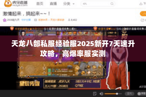 天龙八部私服经验服2025新开7天速升攻略，高爆率服实测