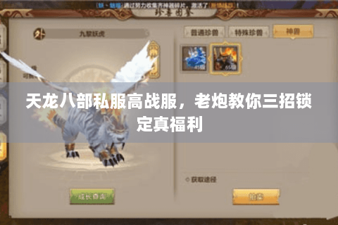 天龙八部私服高战服,老炮教你三招锁定真福利 天龙八部私服高战服,老炮教你三招锁定真福利