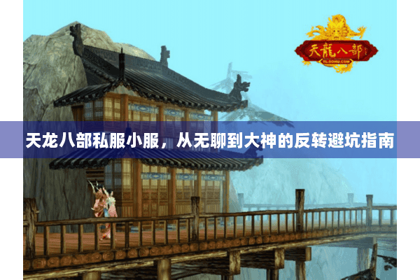 天龙八部私服小服,从无聊到大神的反转避坑指南 天龙八部私服小服,从无聊到大神的反转避坑指南