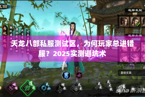 天龙八部私服测试区，为何玩家总进错服？2025实测避坑术