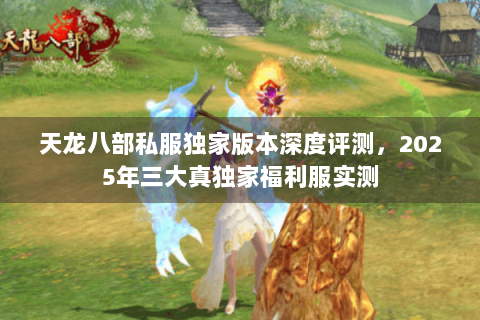 天龙八部私服独家版本深度评测，2025年三大真独家福利服实测