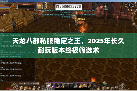 天龙八部私服稳定之王,2025年长久耐玩版本终极筛选术 天龙八部私服稳定之王,2025年长久耐玩版本终极筛选术
