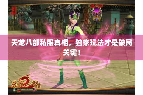 天龙八部私服真相，独家玩法才是破局关键！