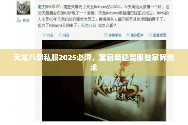天龙八部私服2025必蹲，宝藏级稳定服独家筛选术