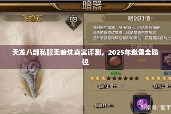 天龙八部私服无暗坑真实评测，2025年避雷全路径