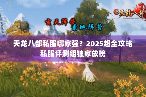 天龙八部私服哪家强？2025超全攻略私服评测组独家放榜