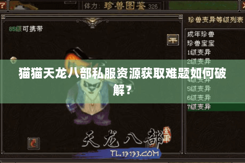 猫猫天龙八部私服资源获取难题如何破解? 猫猫天龙八部私服资源获取难题如何破解?