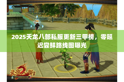 2025天龙八部私服更新三甲榜,零延迟尝鲜路线图曝光 2025天龙八部私服更新三甲榜,零延迟尝鲜路线图曝光