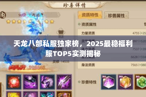 天龙八部私服独家榜,2025最稳福利服TOP5实测揭秘 天龙八部私服独家榜,2025最稳福利服TOP5实测揭秘
