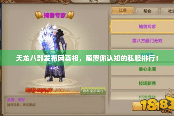 天龙八部发布网真相，颠覆你认知的私服排行！