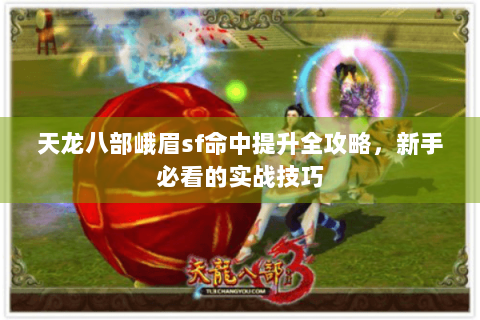 天龙八部峨眉sf命中提升全攻略,新手必看的实战技巧 天龙八部峨眉sf命中提升全攻略,新手必看的实战技巧