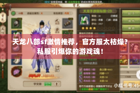 天龙八部sf激情推荐，官方服太枯燥？私服引爆你的游戏魂！