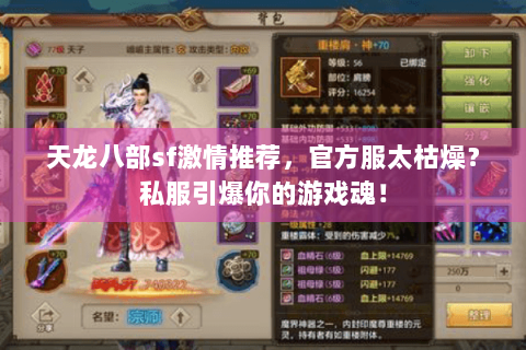 天龙八部sf激情推荐，官方服太枯燥？私服引爆你的游戏魂！