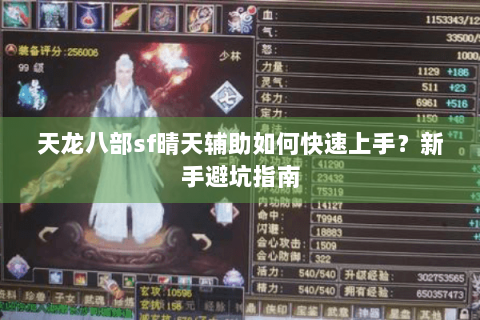 天龙八部sf晴天辅助如何快速上手?新手避坑指南 天龙八部sf晴天辅助如何快速上手?新手避坑指南