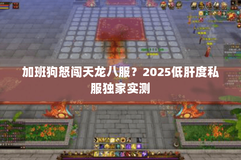 加班狗怒闯天龙八服?2025低肝度私服独家实测 加班狗怒闯天龙八服?2025低肝度私服独家实测