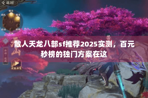 散人天龙八部sf推荐2025实测，百元秒榜的独门方案在这