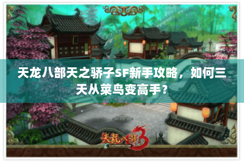 天龙八部天之骄子SF新手攻略,如何三天从菜鸟变高手? 天龙八部天之骄子SF新手攻略,如何三天从菜鸟变高手?