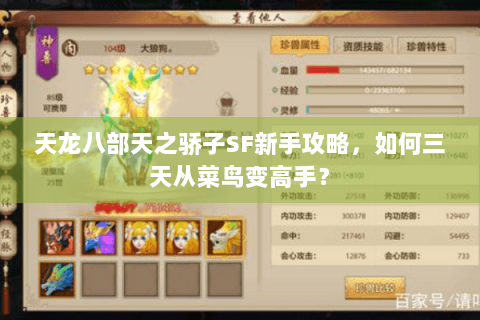 天龙八部天之骄子SF新手攻略,如何三天从菜鸟变高手? 天龙八部天之骄子SF新手攻略,如何三天从菜鸟变高手?