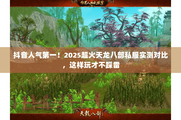 抖音人气第一!2025超火天龙八部私服实测对比,这样玩才不踩雷 抖音人气第一!2025超火天龙八部私服实测对比,这样玩才不踩雷