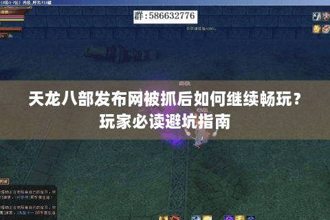天龙八部发布网被抓后如何继续畅玩？玩家必读避坑指南