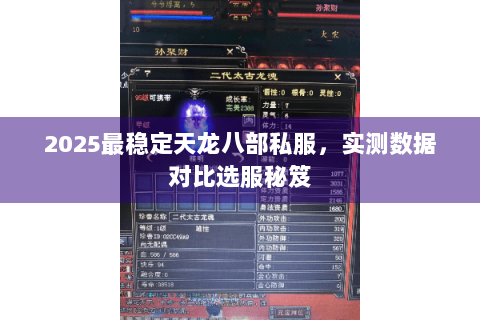 2025最稳定天龙八部私服,实测数据对比选服秘笈 2025最稳定天龙八部私服,实测数据对比选服秘笈