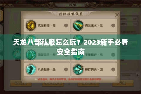 天龙八部私服怎么玩？2023新手必看安全指南