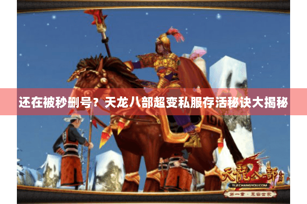还在被秒删号？天龙八部超变私服存活秘诀大揭秘