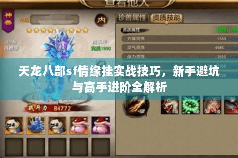 天龙八部sf情缘挂实战技巧,新手避坑与高手进阶全解析 天龙八部sf情缘挂实战技巧,新手避坑与高手进阶全解析