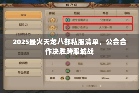 2025最火天龙八部私服清单，公会合作决胜跨服城战