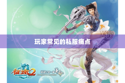玩家常见的私服痛点 玩家常见的私服痛点