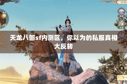 天龙八部sf内测区，你以为的私服真相大反转