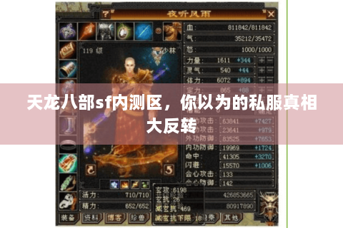 天龙八部sf内测区，你以为的私服真相大反转