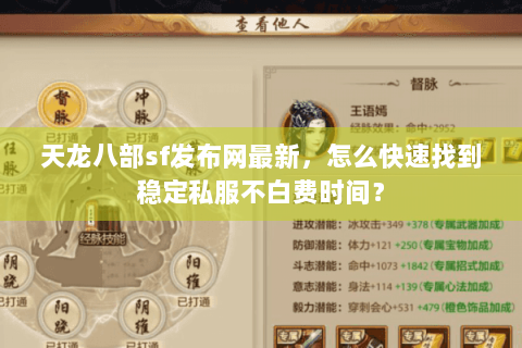 天龙八部sf发布网最新，怎么快速找到稳定私服不白费时间？