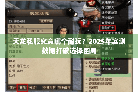 天龙私服究竟哪个耐玩?2025年实测数据打破选择困局 天龙私服究竟哪个耐玩?2025年实测数据打破选择困局