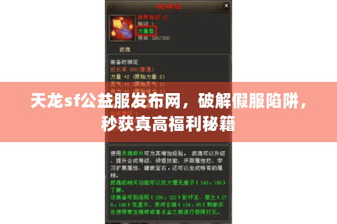 天龙sf公益服发布网,破解假服陷阱,秒获真高福利秘籍 天龙sf公益服发布网,破解假服陷阱,秒获真高福利秘籍