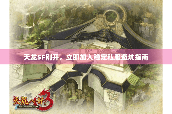 天龙SF刚开,立即加入稳定私服避坑指南 天龙SF刚开,立即加入稳定私服避坑指南