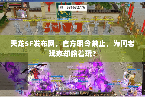 天龙SF发布网，官方明令禁止，为何老玩家却偷着玩？