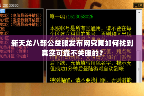 新天龙八部公益服发布网究竟如何找到真实可靠不关服的？